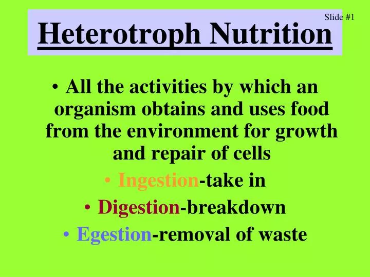heterotroph nutrition