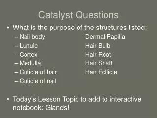 Catalyst Questions
