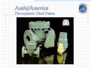Asahi/America Thermoplastic Check Valves