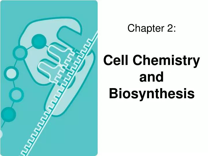 chapter 2 cell chemistry and biosynthesis