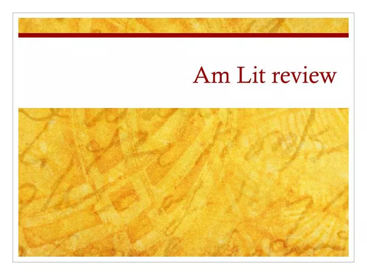 am lit review