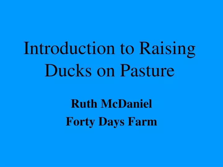 introduction to raising ducks on pasture