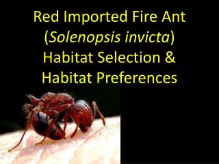 Red Imported Fire Ant ( Solenopsis invicta ) Habitat Selection &amp; Habitat Preferences