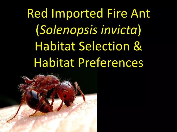 red imported fire ant solenopsis invicta habitat selection habitat preferences