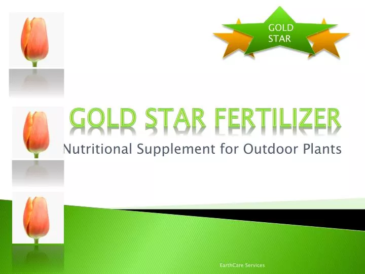 nutritional supplement for outdoor plants