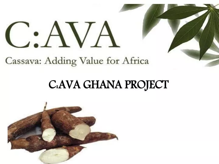 c ava ghana project