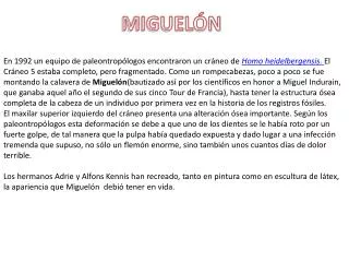 miguel n