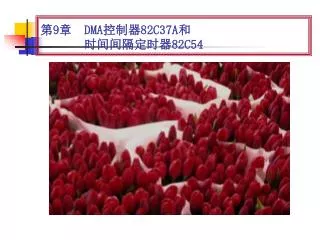 9 dma 82c37a 82c54