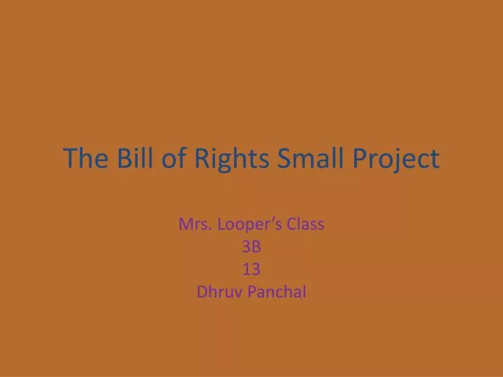the bill of rights small project