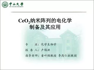 ceo 2