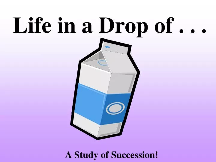 life in a drop of