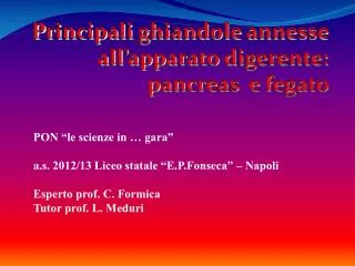 principali ghiandole annesse all apparato digerente pancreas e fegato