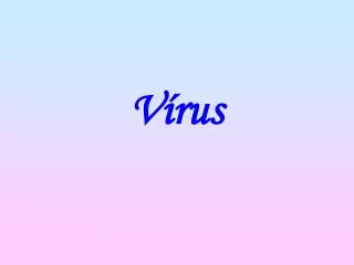 v rus