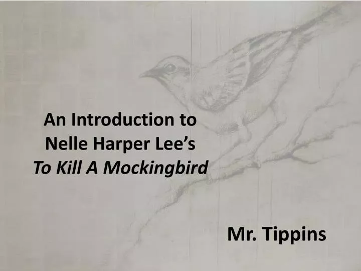 an introduction to nelle harper lee s to kill a mockingbird