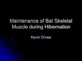 Maintenance of Bat Skeletal Muscle during Hibernation