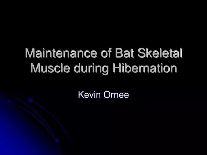maintenance of bat skeletal muscle during hibernation