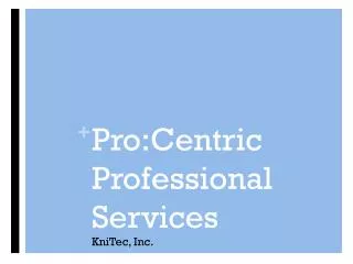 Pro:Centric Professional Services