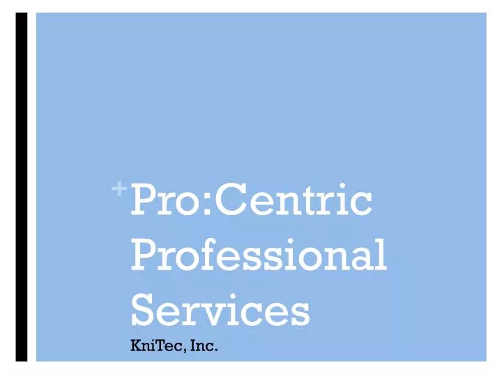pro centric professional services