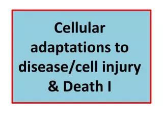 Cellular adaptations to disease/cell injury &amp; Death I