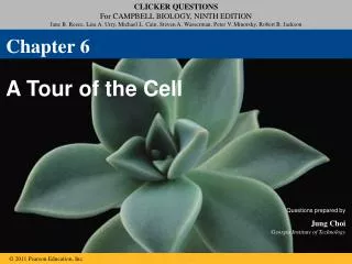 A Tour of the Cell