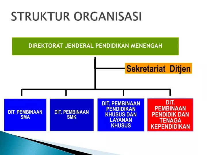 struktur organisasi