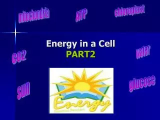 Energy in a Cell PART2