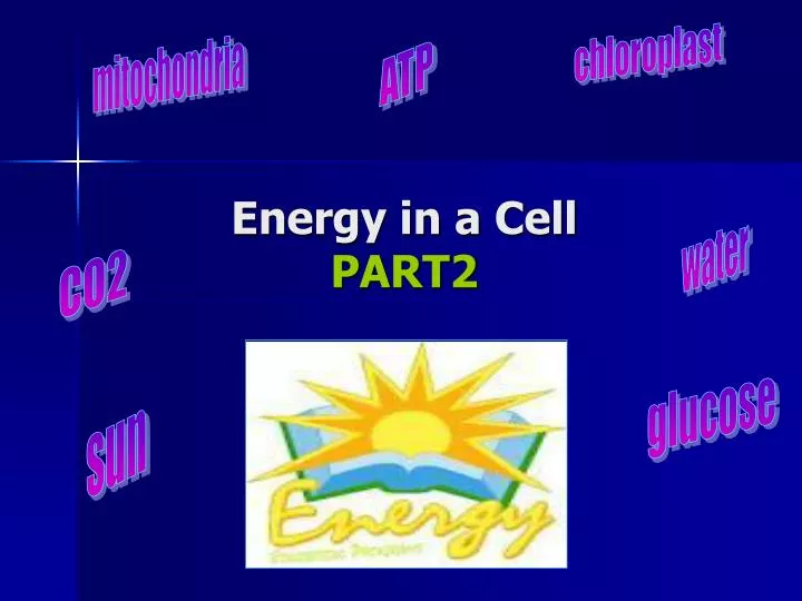 energy in a cell part2