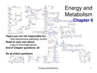 Energy and Metabolism Chapter 6