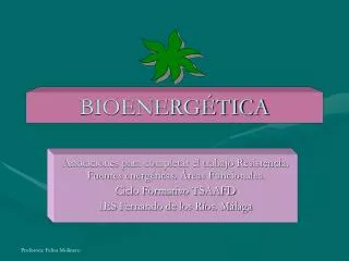 bioenerg tica