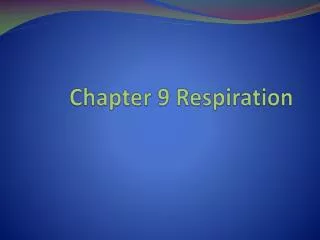 Chapter 9 Respiration