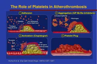 The Role of Platelets in Atherothrombosis