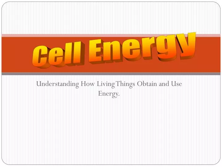 understanding how living things obtain and use energy