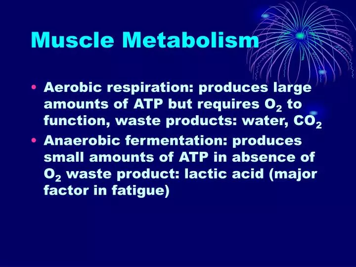 muscle metabolism