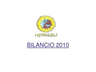 bilancio 2010
