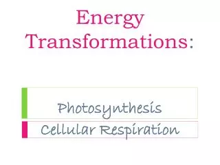 Energy Transformations : Photosynthesis Cellular Respiration