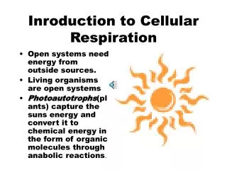 Inroduction to Cellular Respiration
