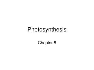 Photosynthesis