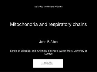 Mitochondria and respiratory chains