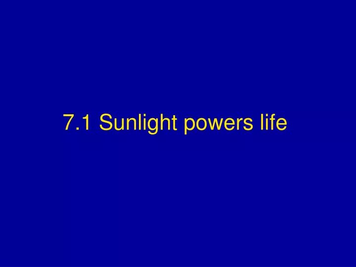 7 1 sunlight powers life