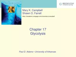 The Overall Pathway of Glycolysis