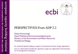 PERSPECTIVES From ADP 2.2 priorities for warsaw priorities for warsaw Kishan Kumarsingh