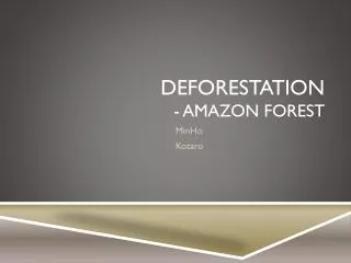 Deforestation - Amazon Forest
