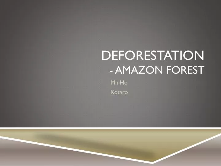 deforestation amazon forest