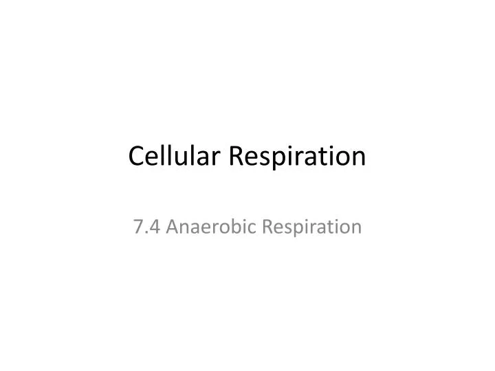 cellular respiration