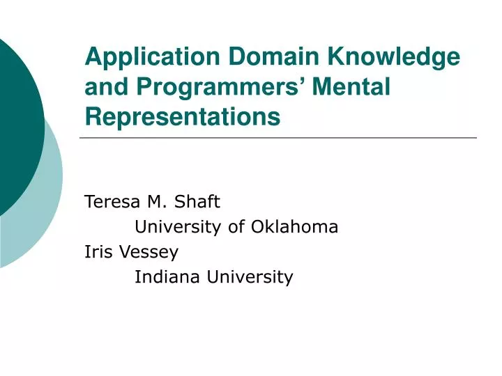 application domain knowledge and programmers mental representations