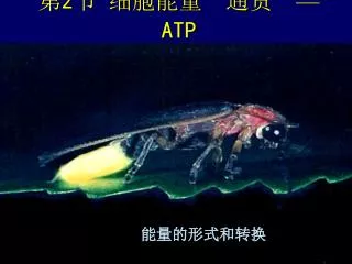 2 atp