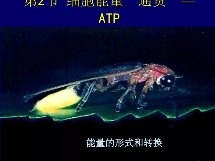 2 atp