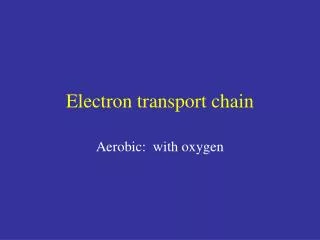 Electron transport chain