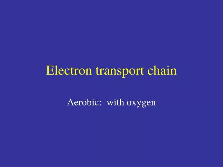 electron transport chain