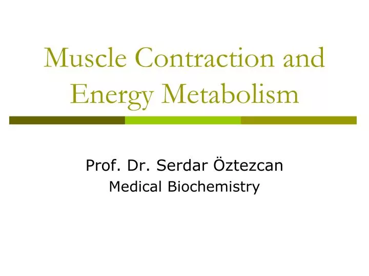 muscle contraction and energy metabolism